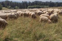 juniorystki-na-dziach-odnowy-2021-2