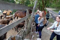 dziecieca-grupa-dsm-w-rudniku-nad-sanem-13