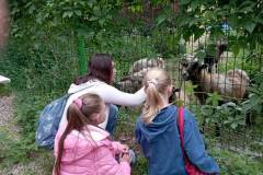 dziecieca-grupa-dsm-w-rudniku-nad-sanem-14