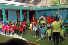 ochronka-cocabamba-4