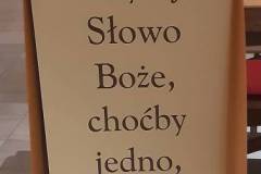 niedziela-w-moszczenicy-1