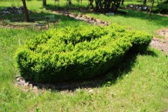 rodzina-bl.-edmunda-47