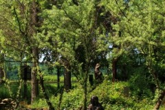 rodzina-bl.-edmunda-48