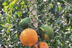 tydzien-misyjny-2023-40