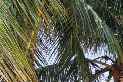 tydzien-misyjny-2023-42